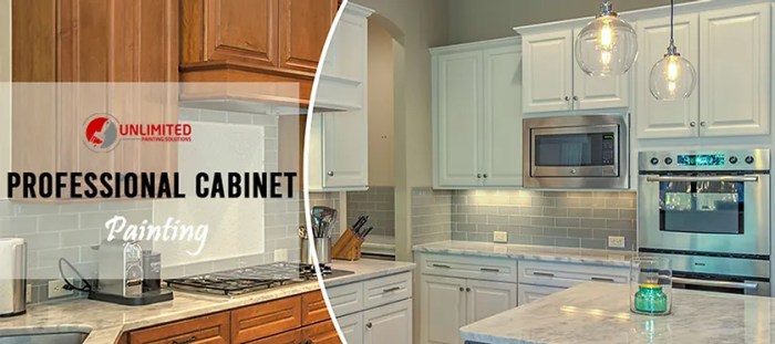 Professional Cabinet Painting Services Company